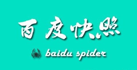 百度快照 搜索引擎排名 新華網 SEO