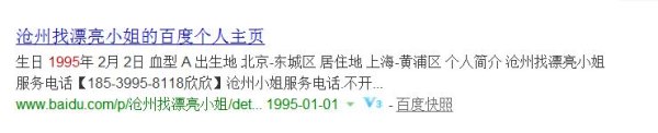 百度快照 搜索引擎排名 新華網 SEO