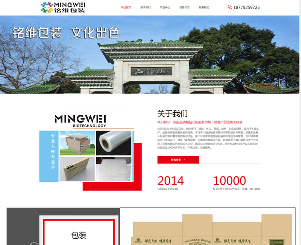 廣州網站制作，域名服務器租用，廣州網站建設